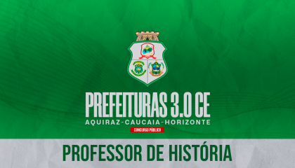 PROFESSOR DE HISTÓRIA