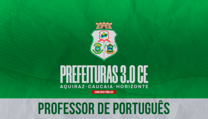 PROFESSOR DE PORTUGUÊS